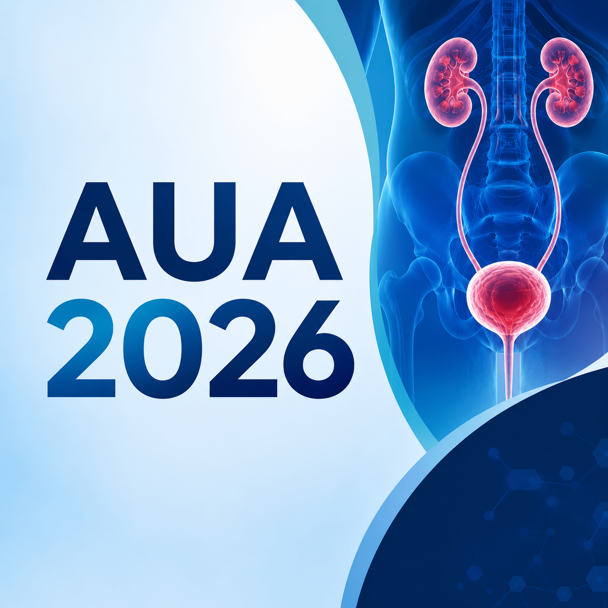 AUA 2026