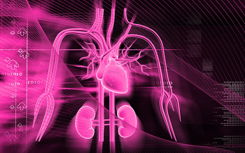 cardiorenal